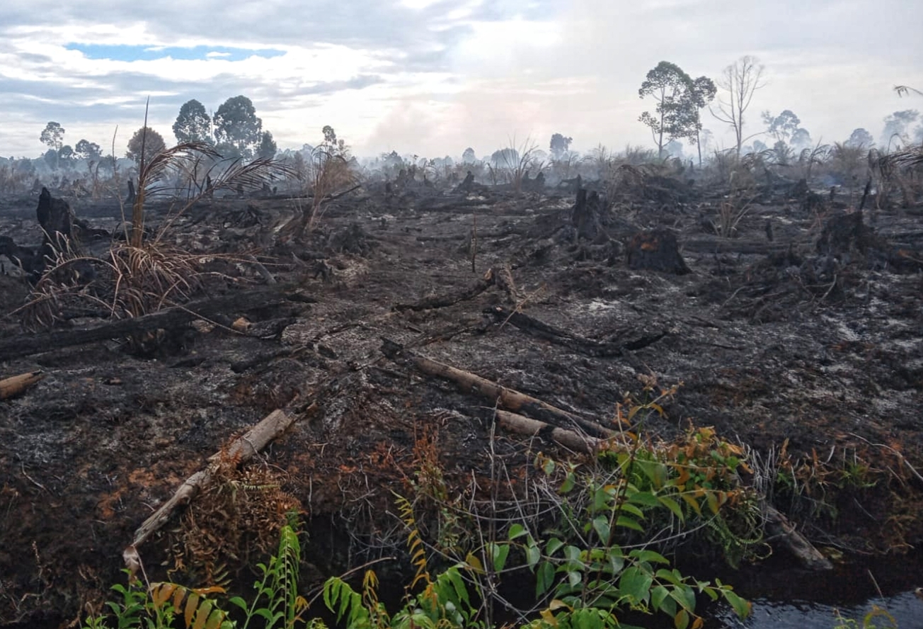 Penyebab Karhutla di Bakongan Masih Diselidiki, Dugaan Sementara Ekses Pembukaan Lahan Baru