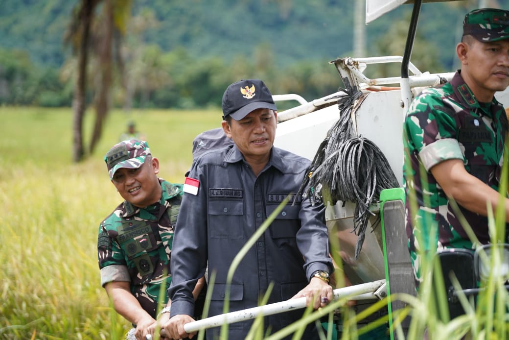 Optimalisasi Serapan Gabah, Bupati H.Mirwan MS, Bersama Aster Kodam IM dan Bulog, Langsung Turun Lapangan